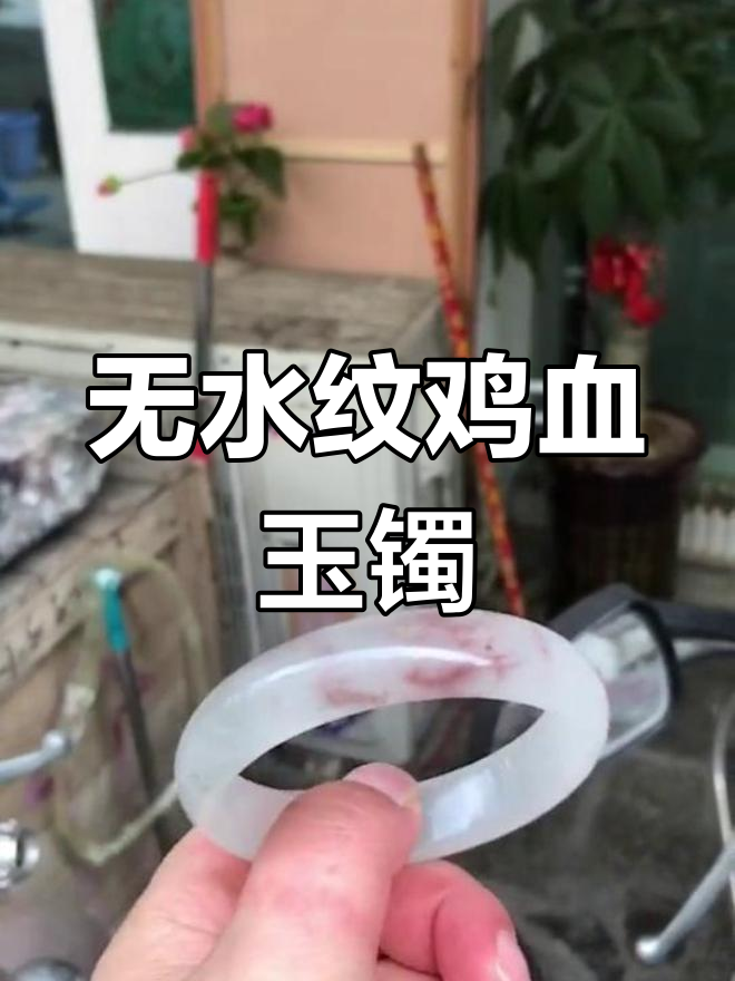 精美鸡血玉手镯,59mm无水纹