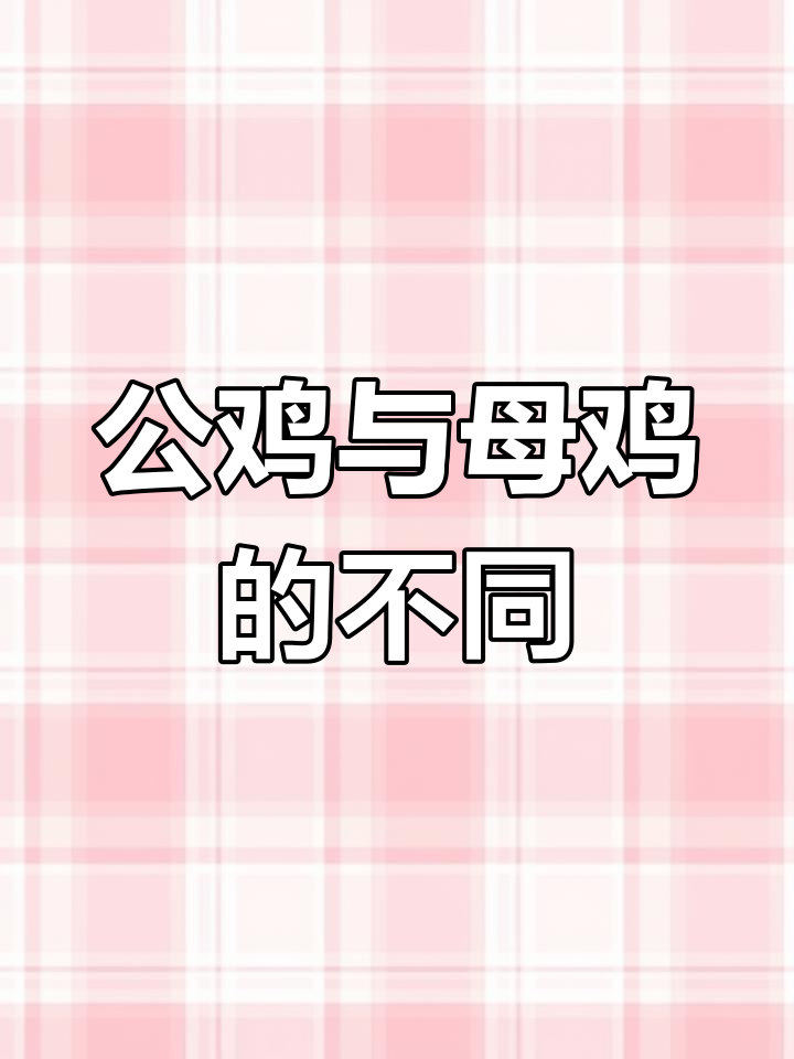 公鸡和母鸡的区别,叫声、外貌全解析