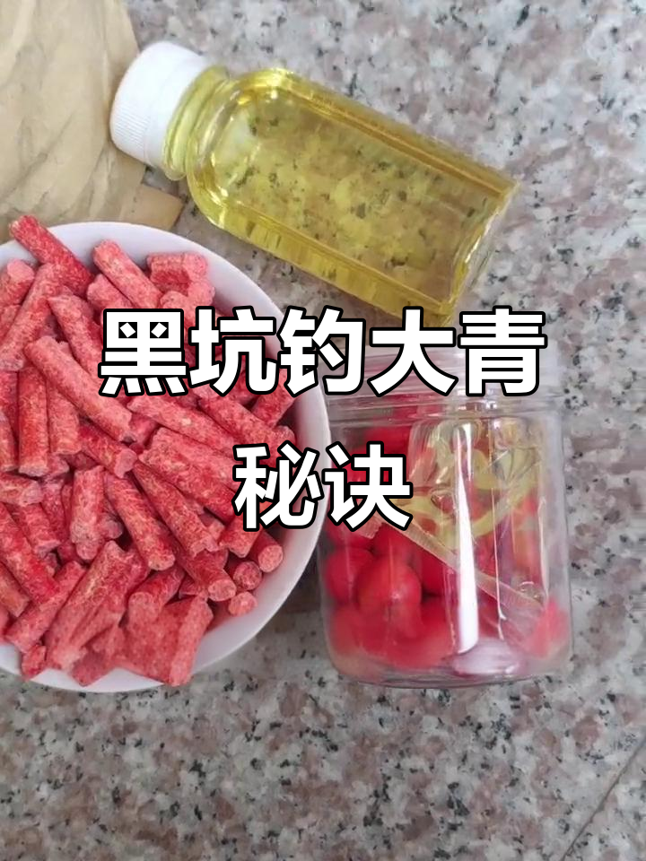福建江苏湖北青鱼黑坑钓法揭秘,低温颗粒搭配技巧