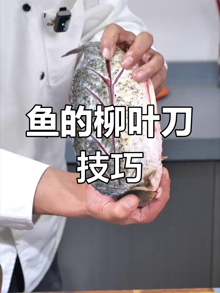 柳叶刀法揭秘:如何精准改鱼,避免腥线困扰