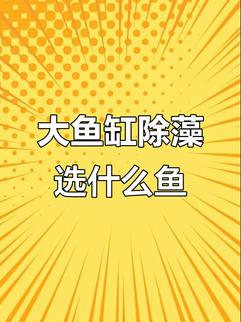 鱼缸清理大作战:哪种小鱼能安全吃掉藻类?