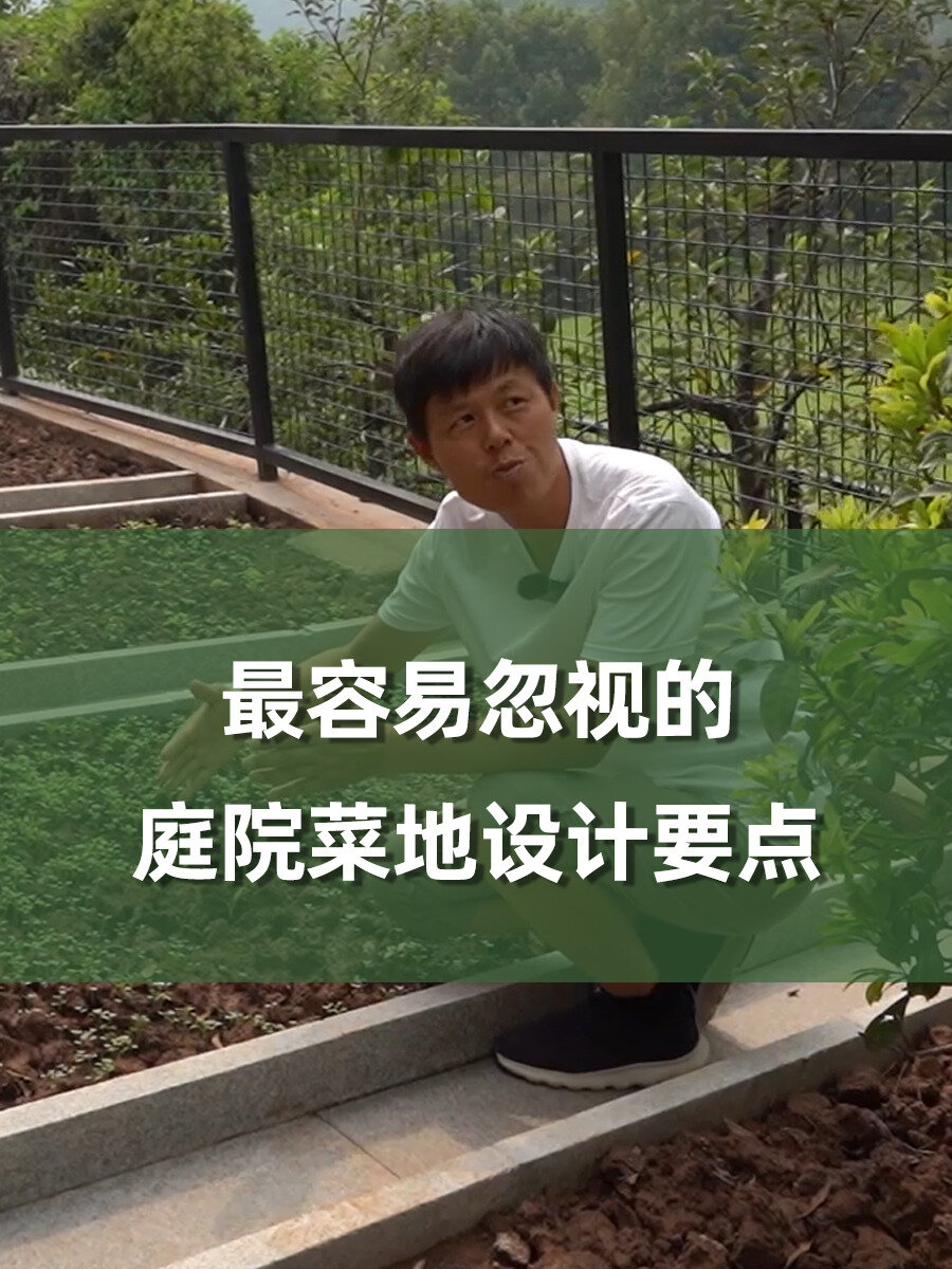 最容易忽视的庭院菜地设计要点