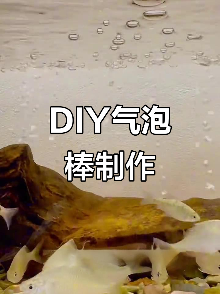 自制气泡棒教程,轻松打造鱼缸供氧装置