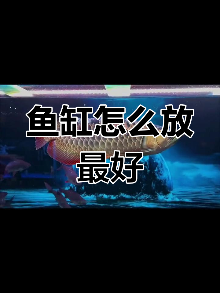 家庭鱼缸摆放最佳位置解析