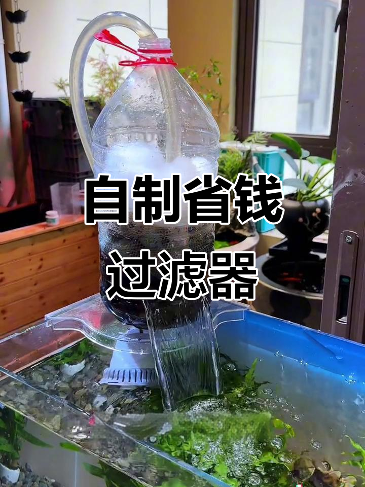 用水桶和置物架,轻松打造低成本鱼缸过滤系统