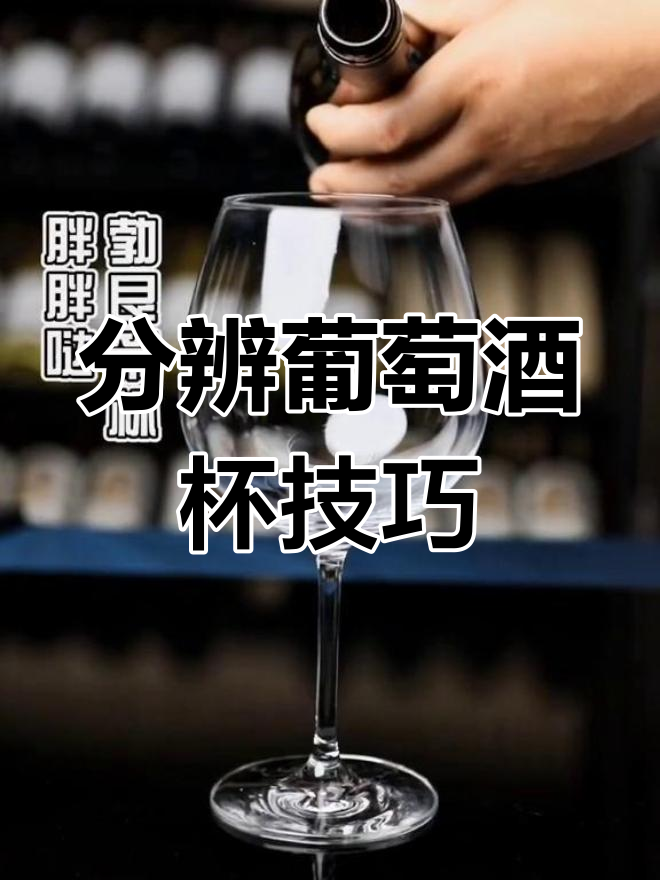 一分钟教你识别各种葡萄酒杯