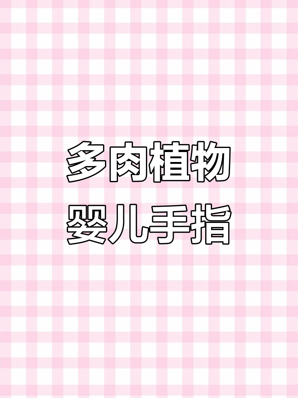 婴儿手指：粉色多肉植物的养护秘诀