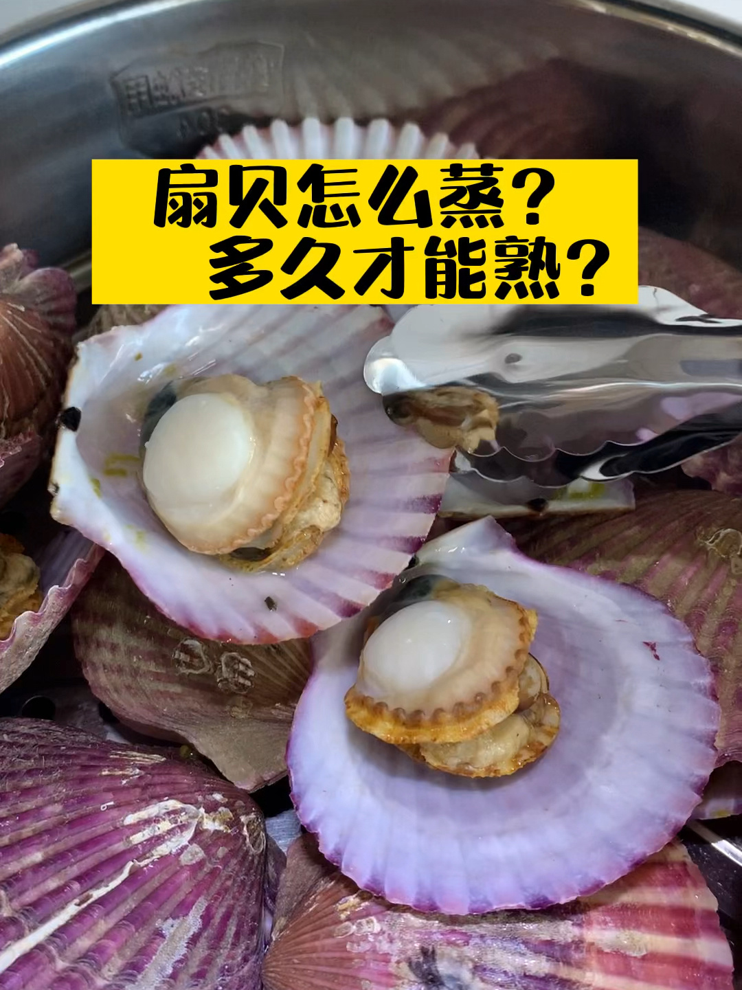 清蒸扇贝—最简单最好吃的做法