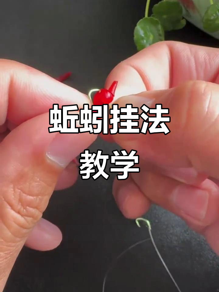 蚯蚓挂钩技巧大揭秘，两种正确方法教你轻松钓鱼