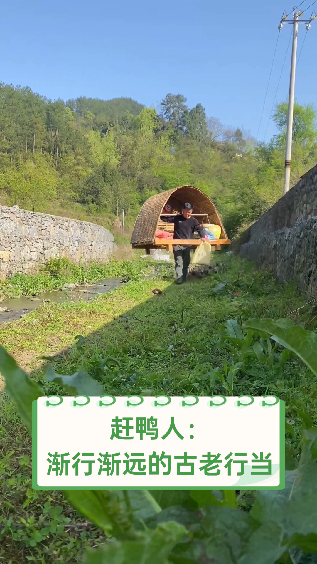 赶鸭人:渐行渐远的古老行当