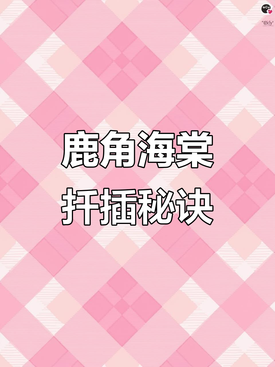 扦插鹿角海棠,轻松成活!繁殖方法超简单,乐趣无穷!