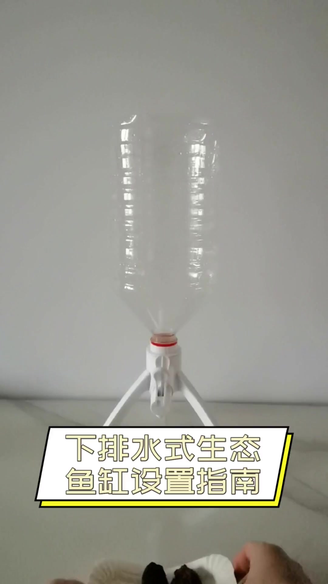 下排水式生态鱼缸设置指南