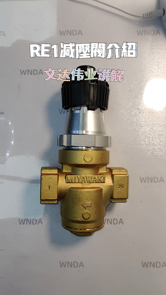 RE1蒸汽减压阀介绍讲解