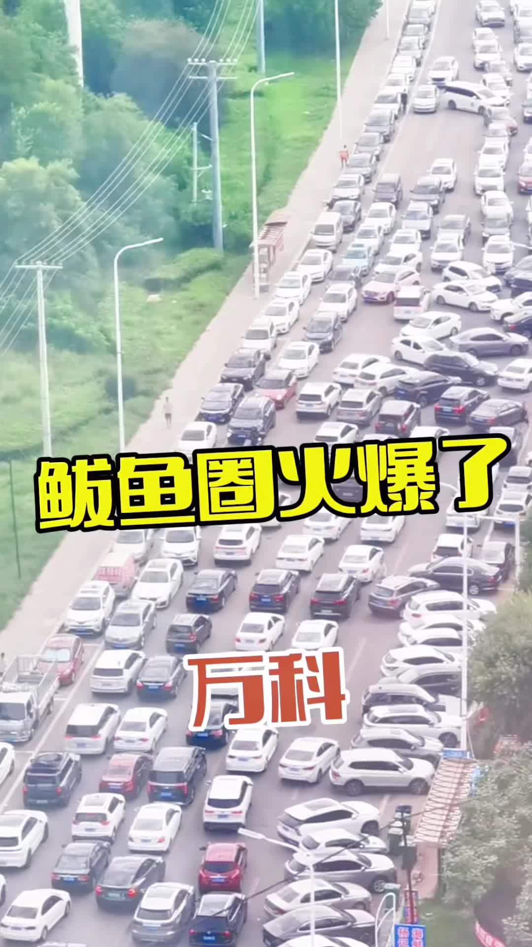 鲅鱼圈万科海港城 鲅鱼圈旅游攻略 海边民宿
