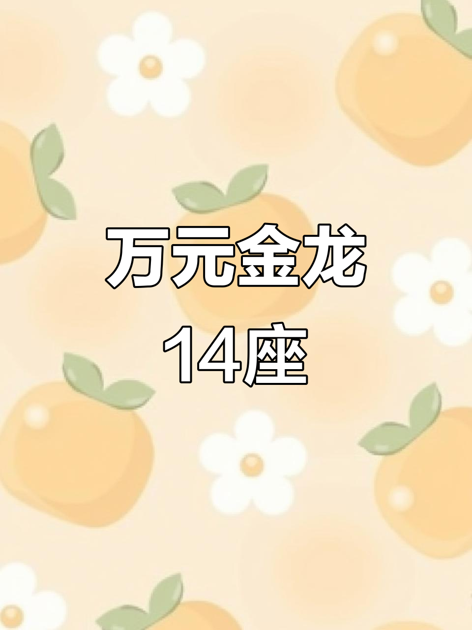 金龙14座,万元以内轻松拥有