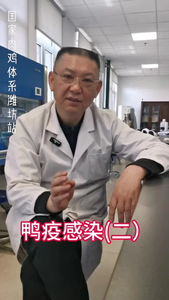 鸭疫防疫实用小妙招，第二波来袭！