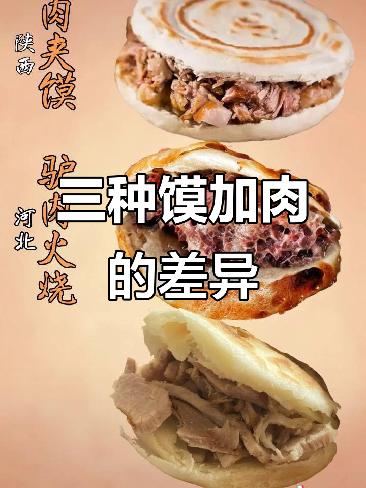 陕西肉夹馍、河北驴肉火烧与内蒙古对家有何不同?