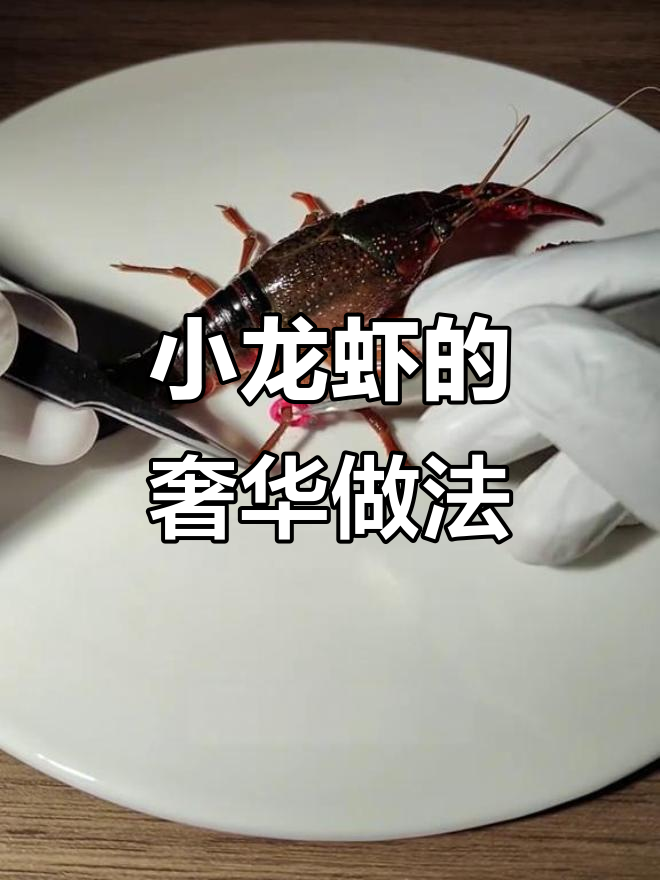 澳洲龙虾神仙吃法，米其林摆盘大揭秘