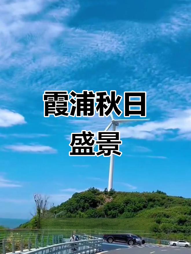 秋冬霞浦,紫菜丰收,美景与美食双重享受!