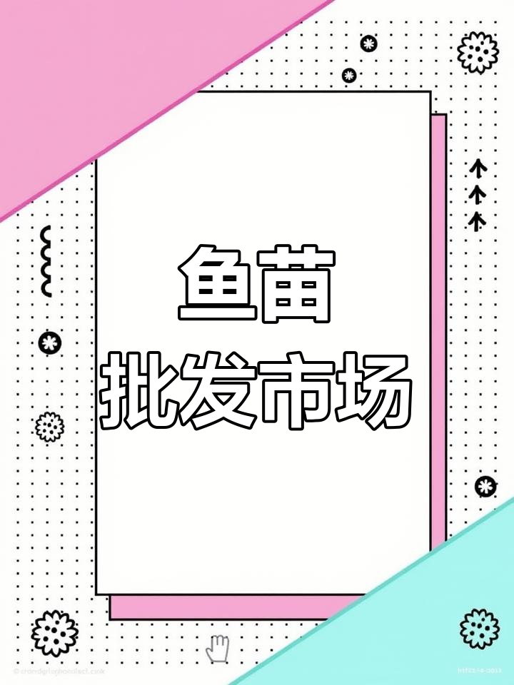 南阳鱼苗市场,多种淡水鱼类批发供应