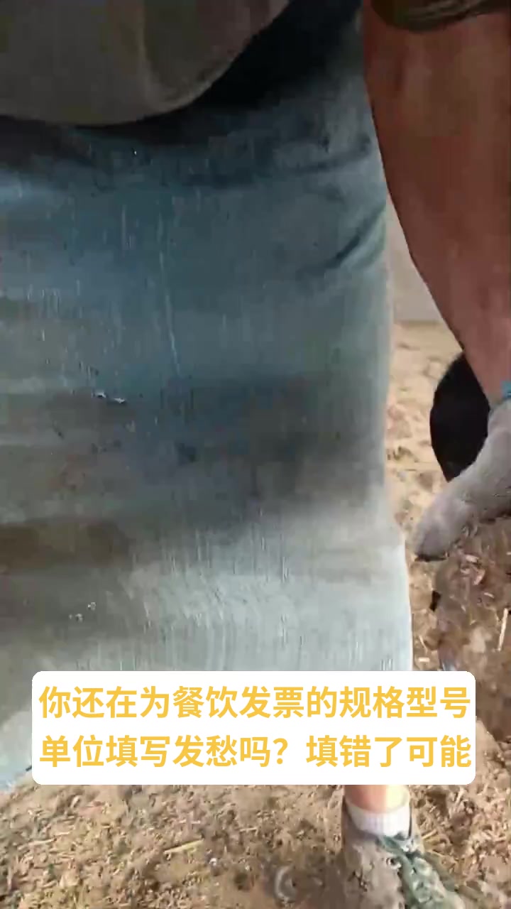 餐饮发票的规格型号 单位怎么填