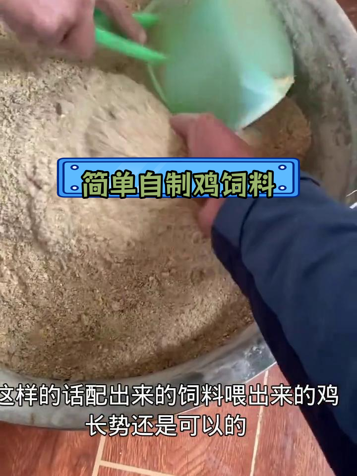 自制养鸡饲料配方,营养丰富又省钱