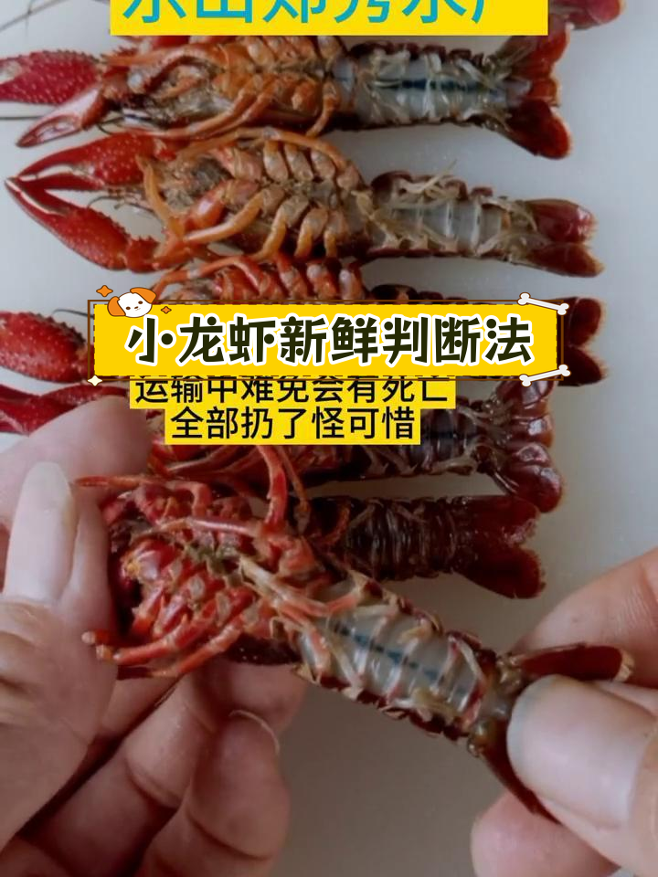 小龙虾死亡后多久变质?如何辨别新鲜度