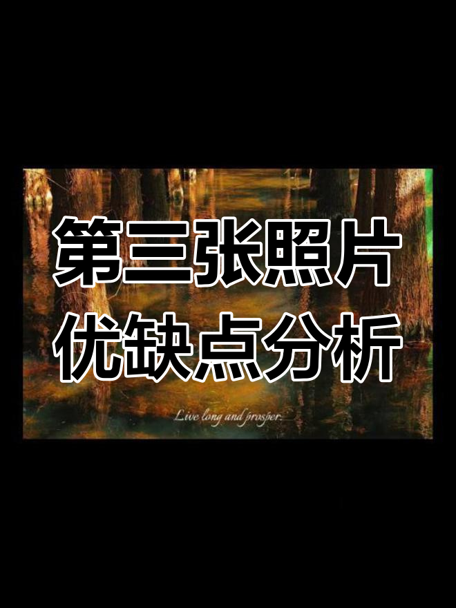 摄影作品点评:第三张惊艳,画面却有缺陷