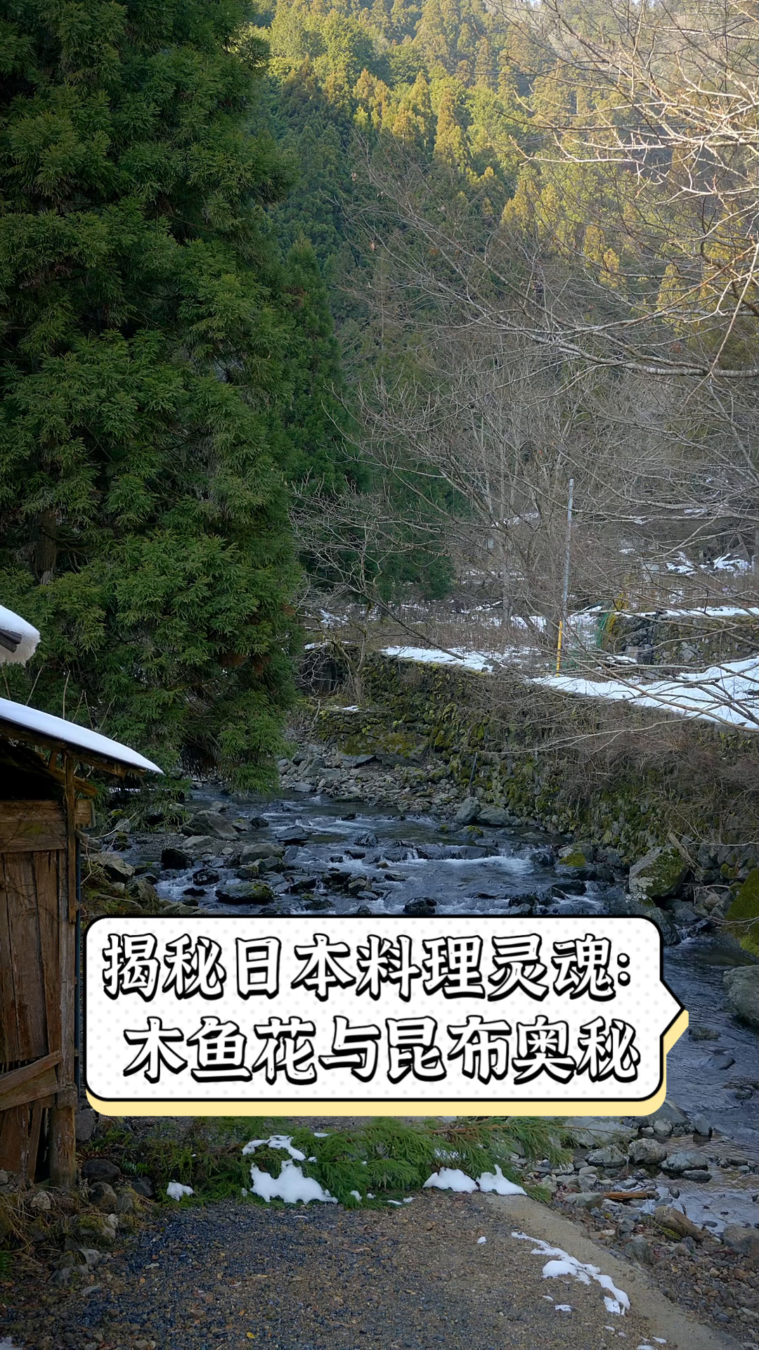 揭秘日本料理灵魂:木鱼花与昆布奥秘
