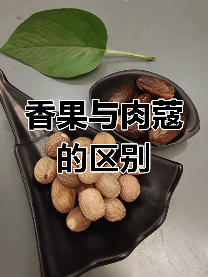 香果和肉蔻到底有啥不同?看完这几点你就懂了