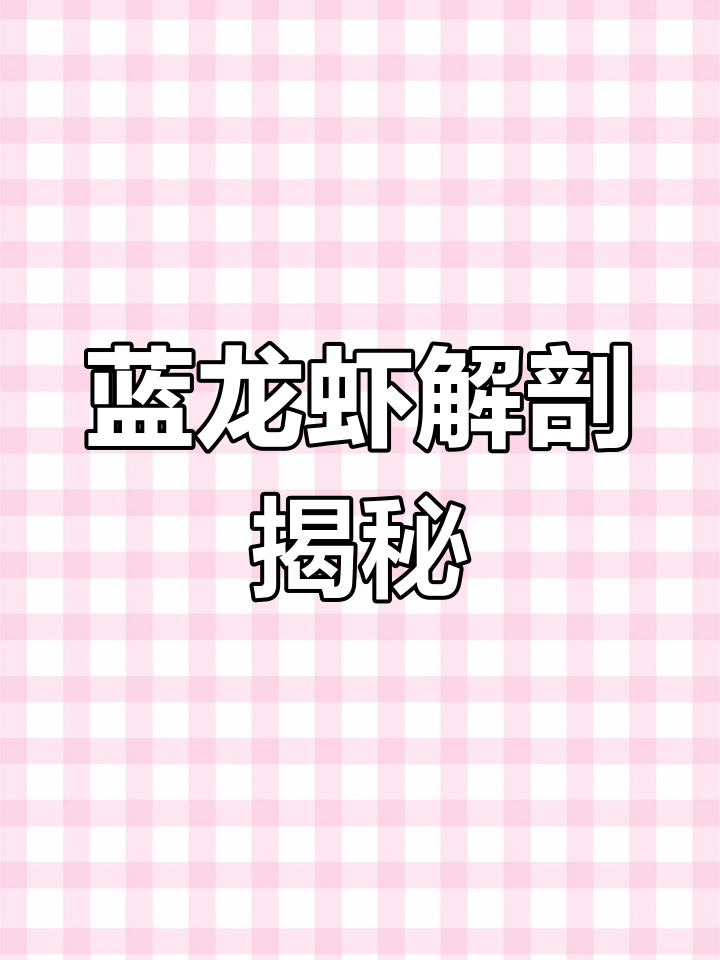 蓝龙虾内部结构揭秘:心脏、胰腺与生殖系统的神奇功能