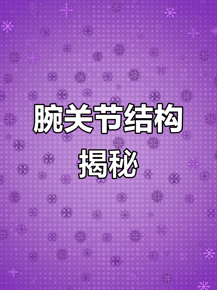 腕关节的解剖与功能:从骨骼到滑膜的全解析