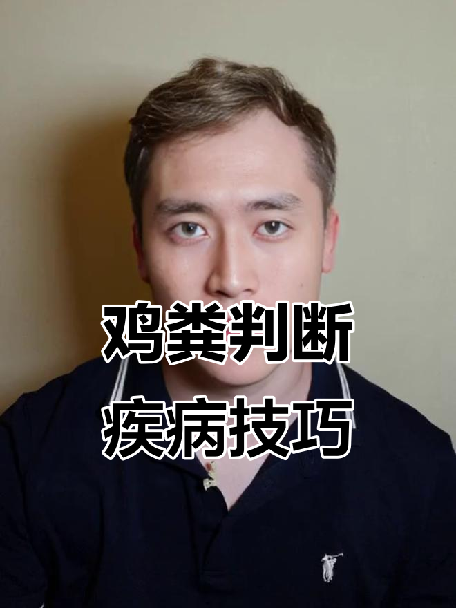 小鸡粪便能告诉你生病信号，学会这些养鸡更轻松