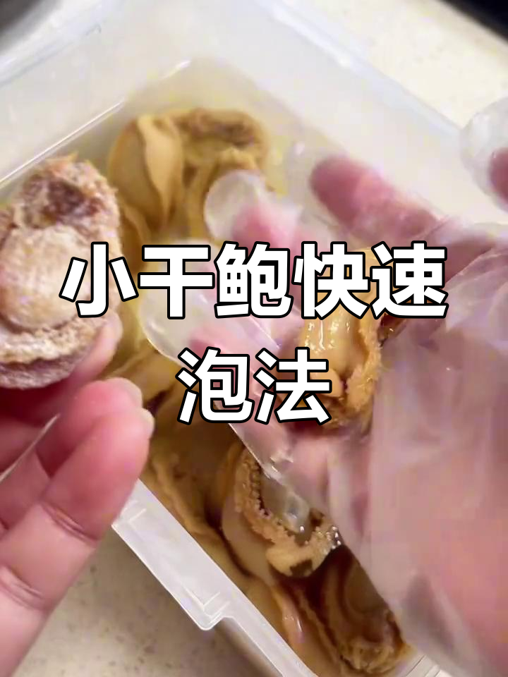 干鲍鱼泡发全攻略,简单步骤教你轻松搞定
