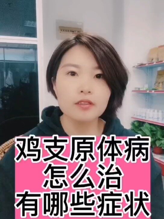 禽医静心谈鸡支原体病怎么治,有哪些症状