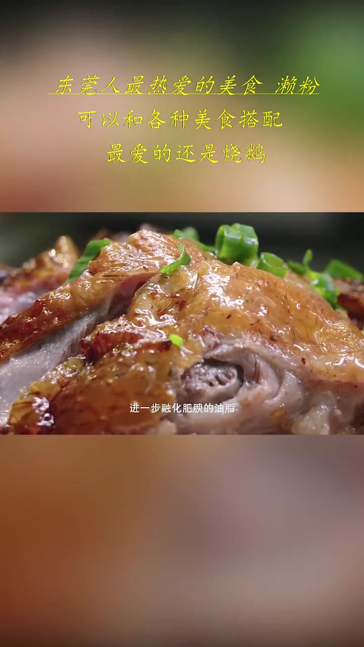 东莞人最热爱的美食-濑粉 可以和各种黄食搭配，最爱的还是烧鹅