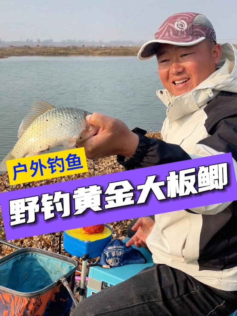 探钓府河荡子,口不好还走水,还好后面调整钓法,终获一盆黄金大板鲫 原来钓鱼才是抖音运动顶流