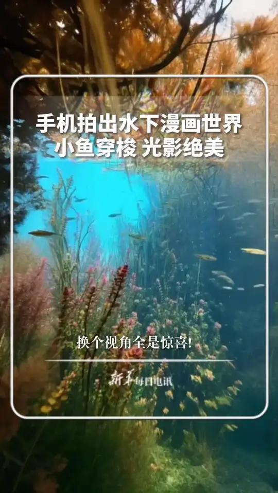 手机拍出水下漫画世界!小鱼穿梭光影绝美,换个视角全是惊喜 新华每日电讯