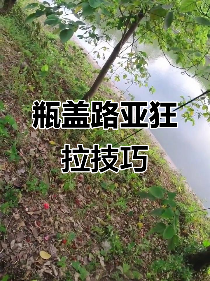 用瓶盖钩子钓鱼,轻松钓到鱼!