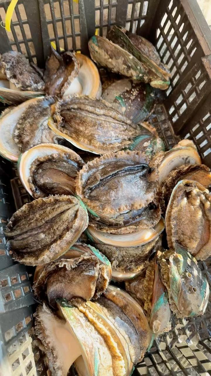 三个头的鲍鱼,很不错