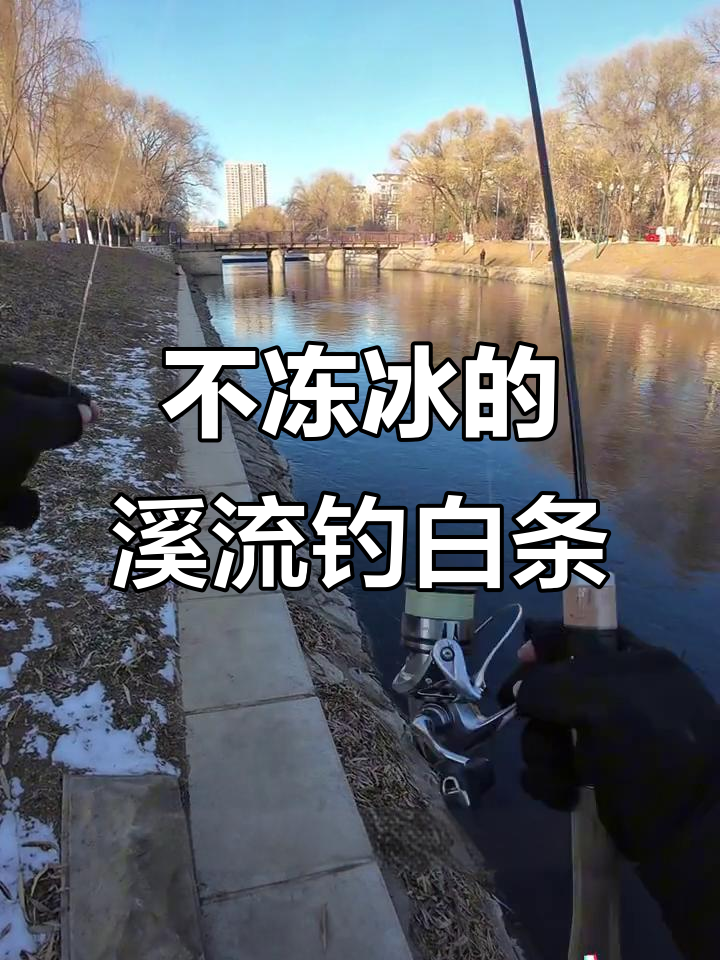 东北寒冷天气中的路亚钓鱼，竟然找到一条不结冰的小河沟