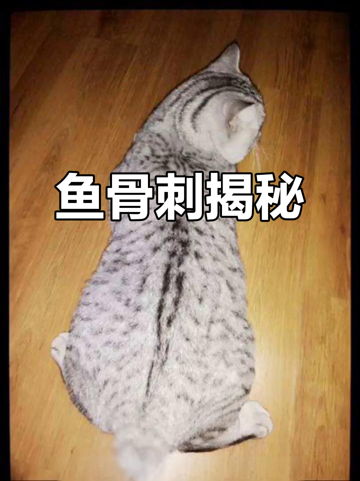 鱼骨刺是什么?为何它让繁育者头疼?