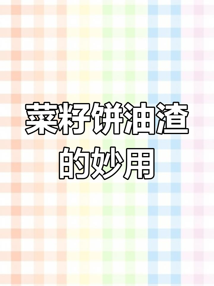 菜籽饼油渣新用途,钓鱼打窝、种花种菜的理想肥料