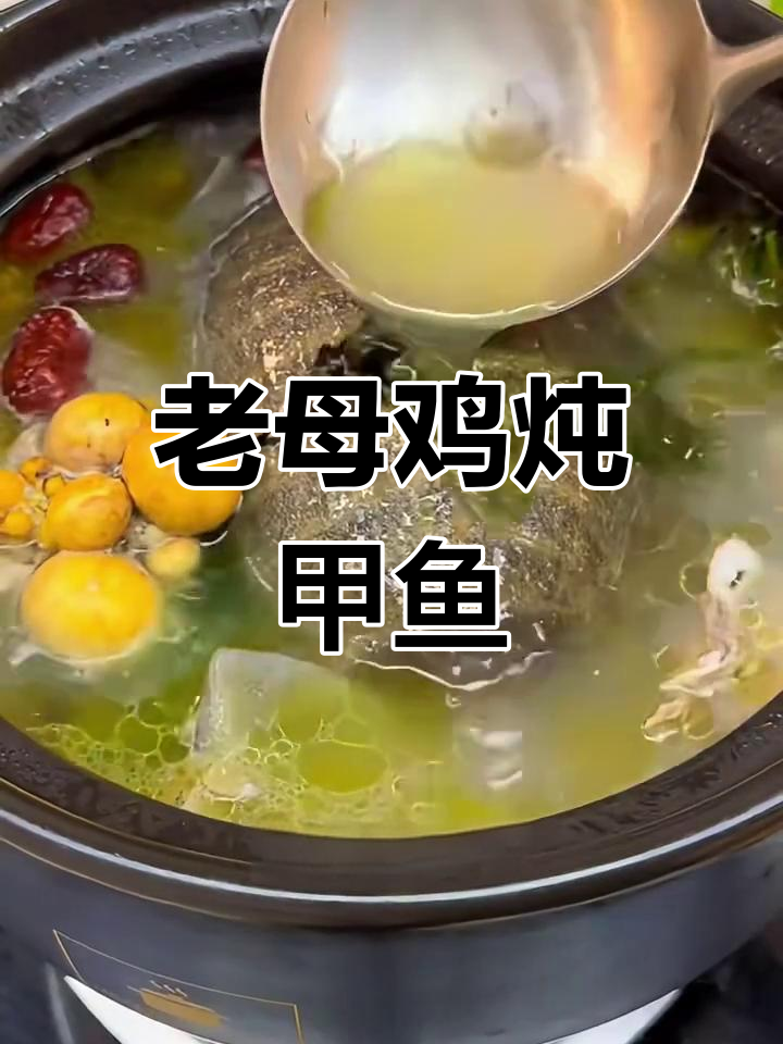 甲鱼炖老母鸡,汤鲜味美又滋补