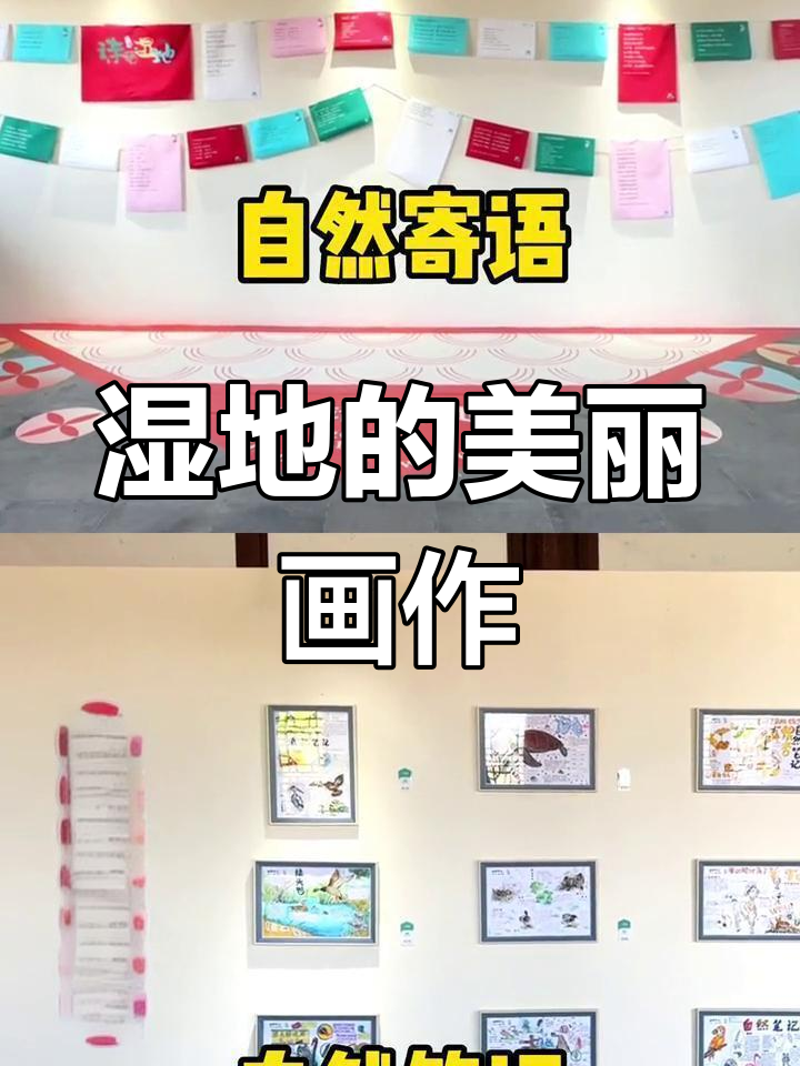 杭州湾湿地自然笔记大赛作品展