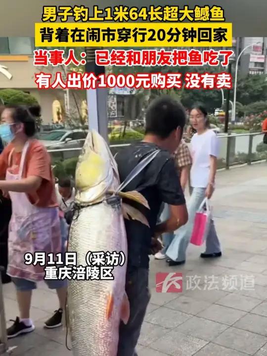 男子钓上1米64长超大鳡鱼，背着在闹市穿行20分钟回家