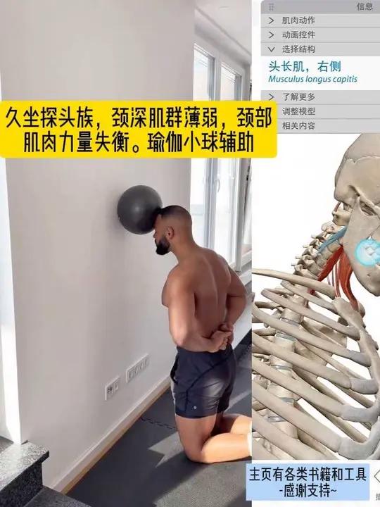 久坐探头族,颈深肌群薄弱,颈部肌肉力量失衡。瑜伽小球辅助 久坐探头族,颈深肌群薄弱,颈部肌