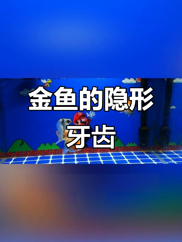 金鱼牙齿藏喉咙,竟然能咀嚼食物!