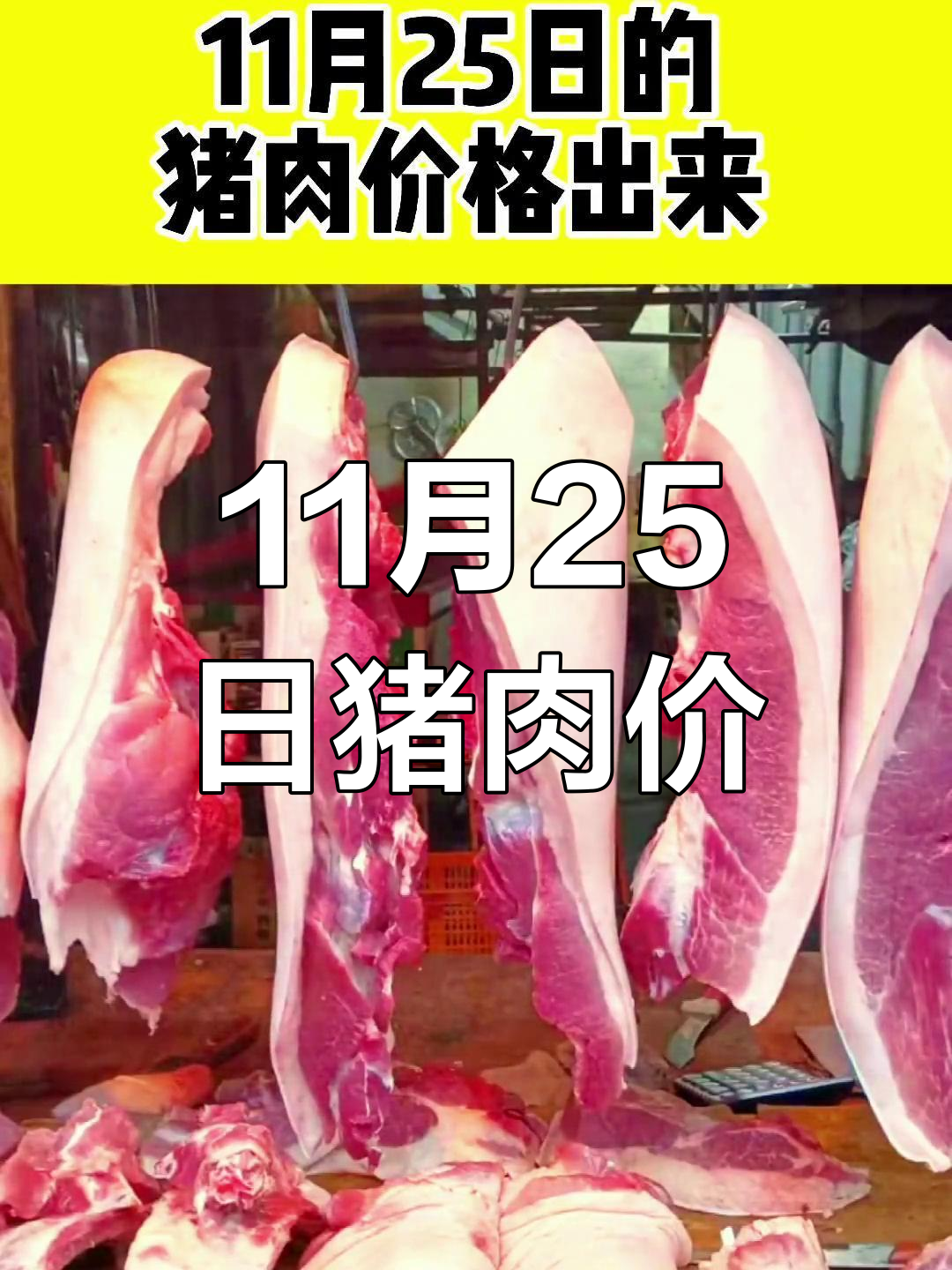 11月25日全国猪肉价格大揭秘,最新行情一览