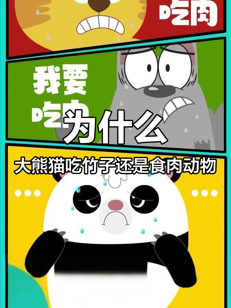 大熊猫为何是食肉目动物?原来它们偶尔也开荤!
